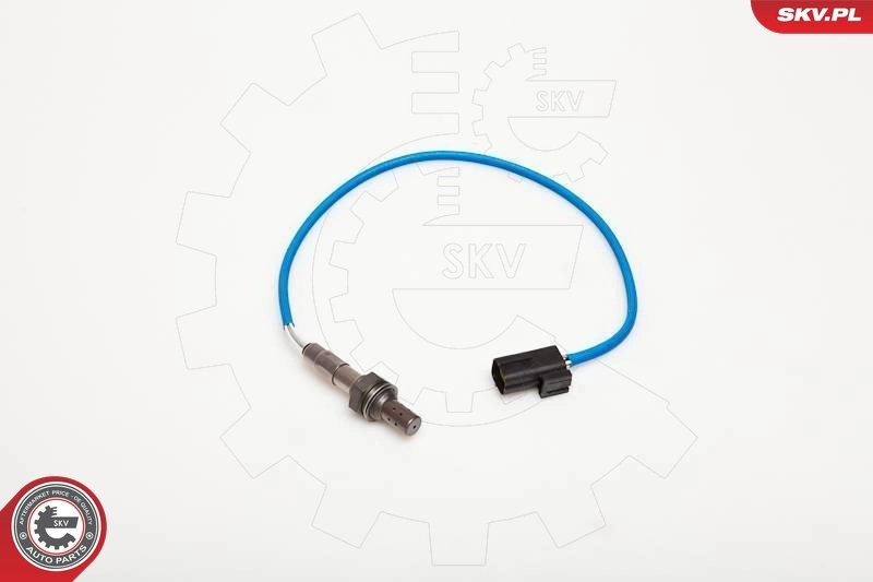 Oxygen Sensor